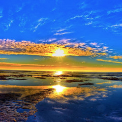 Sunchyme