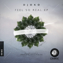 DJOKO - Feel so Real (Original Mix) [OUT NOW]