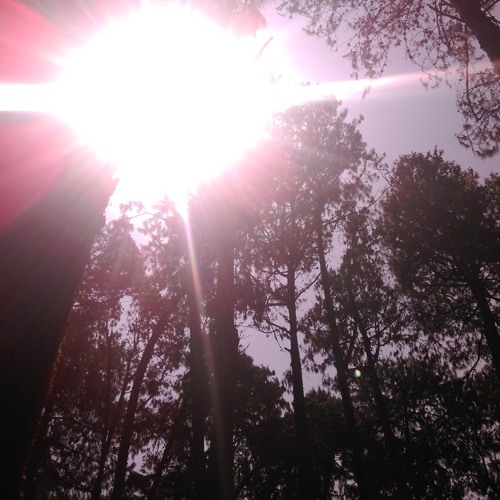 MYSTIC CROCK - Future (Remix) (2015)
