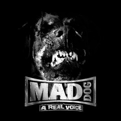 DJ Mad Dog Feat MC Jeff - A Real Voice