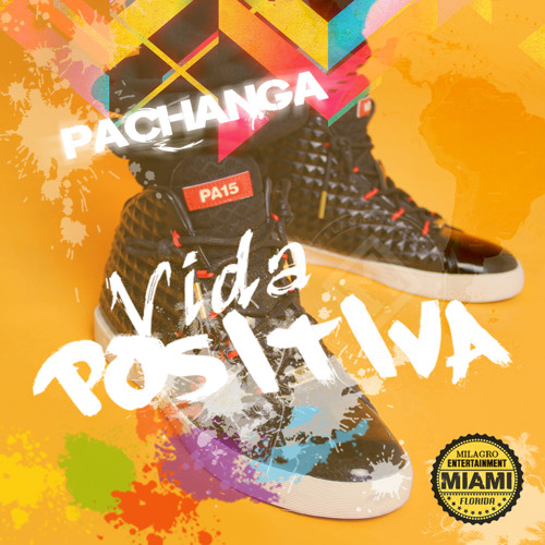 Pachanga - Vida Positiva (Ferrer House Mix) SNIPPET