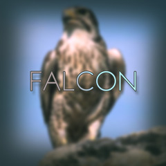 Falcon - By Skeepo