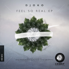 DJOKO - Feel So Real (Prune Flat Remix)