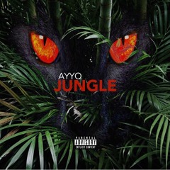 Ayy Q - Jungle