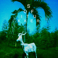 SOFI TUKKER - Drinkee