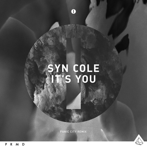 Syn Cole - It's You (Panic City Remix)