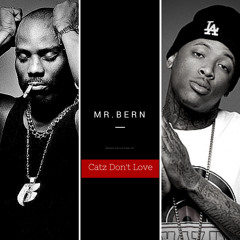Catz Don't Love - YG x DMX - MASHUP
