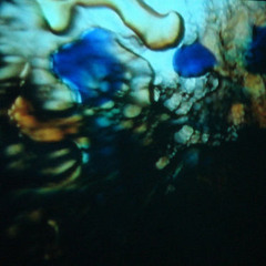 Trip - Testing/...Ambient?