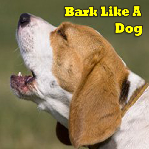 why do i bark like a dog