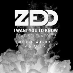 I Want You To Know - Zedd Feat. Selena Gomez (Chris Waldz REMIX)