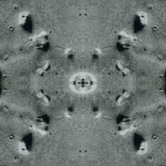 Full on..Forest..Dark..Psy