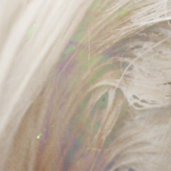 DEMO TRACKS | bleach blonde
