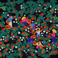 THE ALCOHOL (When I'm Blue) With Conner Toth