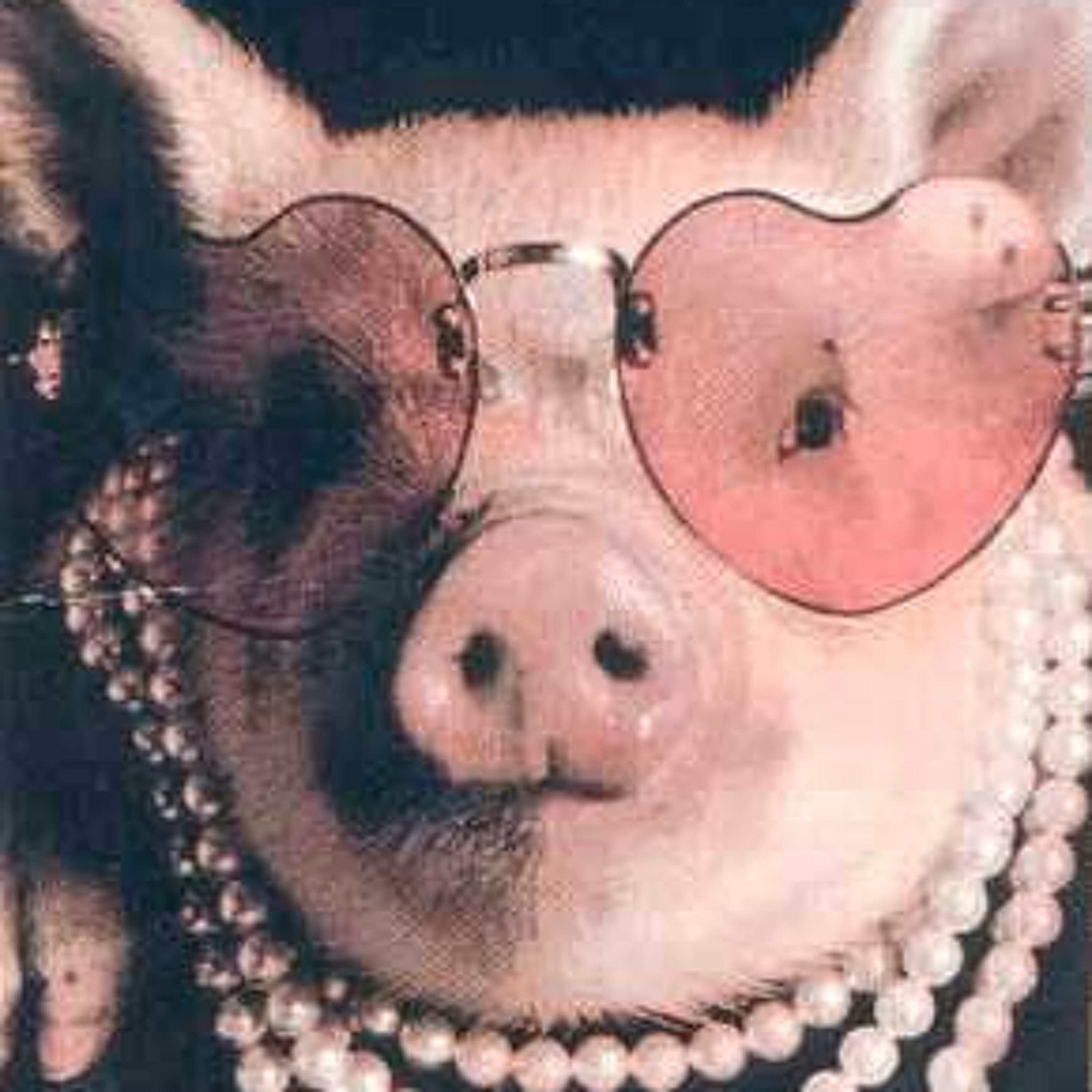 Pig episode artwork