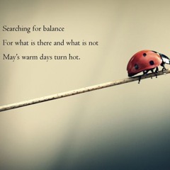 Naviarhaiku - Searching For Balance