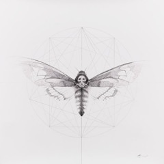 Covariance Jaded