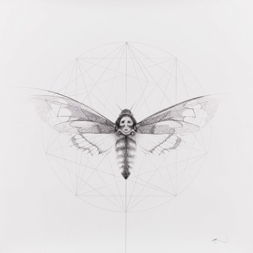 Covariance Jaded