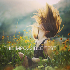 The Impossible Test