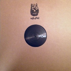 WLSLTD01 - Unknow - 300 Hand-Numbered Copies - RSD2015
