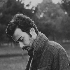 deniz tekin