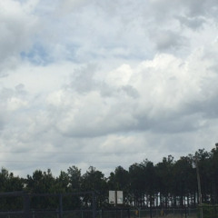 Rain'n On A Bitch - Browny Man (Feat. Rylo, The Musician)