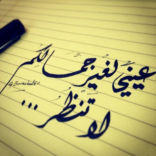 عَيني لِغير جمالِكُمْ لا تَنظُرُ