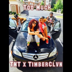 Too Much - TNT x TimberClvn