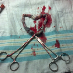 'Your Love' The Album