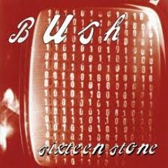 Glycerine -  Bush