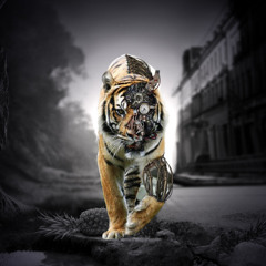 Evolution Mixtape