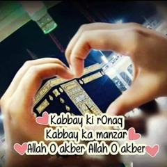 Bhar Do Jholi Meri Ya Muhammad Owais Raza Qadri