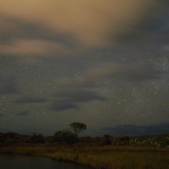 Wandering Home Techno Time