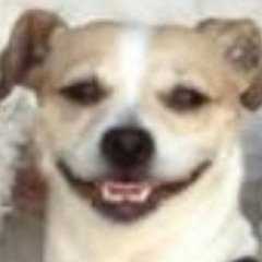 These Times Are Better