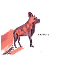 Swedish Naan Boys - Through The Cusp - SAND002 - Preview