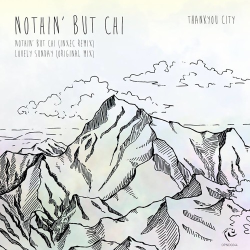 THANKYOU CITY - Nothin But Chi' (FunkForm ChiMix) FREE LOSSLESS DOWNLOAD