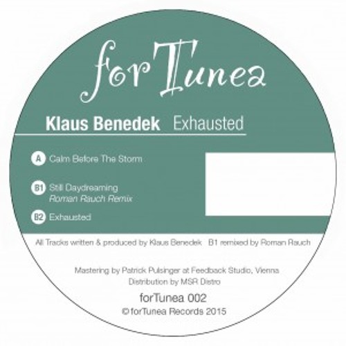 Klaus Benedek  - Still Daydreaming (Roman Rauch Remix) (preview)