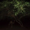 Khelgana Mp3