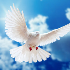 Mone - Why (Produced by E-Motion-L Productions)