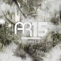 AR15 PRESENTS || OUT IN THE JUNGLE FT SQEEKS, SNEAKBO, DUBZ, STORMZY, MR BIGZ