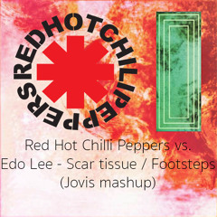 Red Hot Chili Peppers Vs. Edo Lee - Scar Tissue / Footsteps (Jovis Mashup)