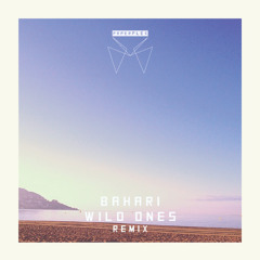 Bahari - Wild Ones (Paperplex Remix)