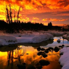 Chill Out Mix, Volume 20