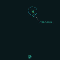 Tekvision - Mycoplasma