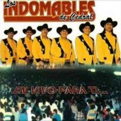 Los Indomables De Cedral a En Vivo Para Ti vol.2