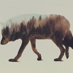 wlfprod - я там бываю во сне