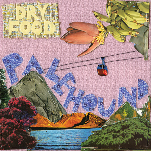 Palehound - Healthier Folk