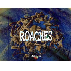 Roaches