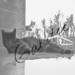 Galatée - Summertime [single], 2015