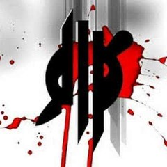 2k10xm - Dubstep Remix Skrillex