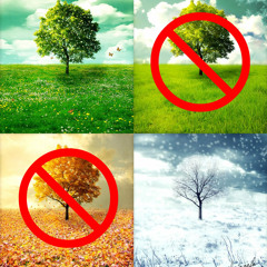 The four seasons are three: Summer And Winter